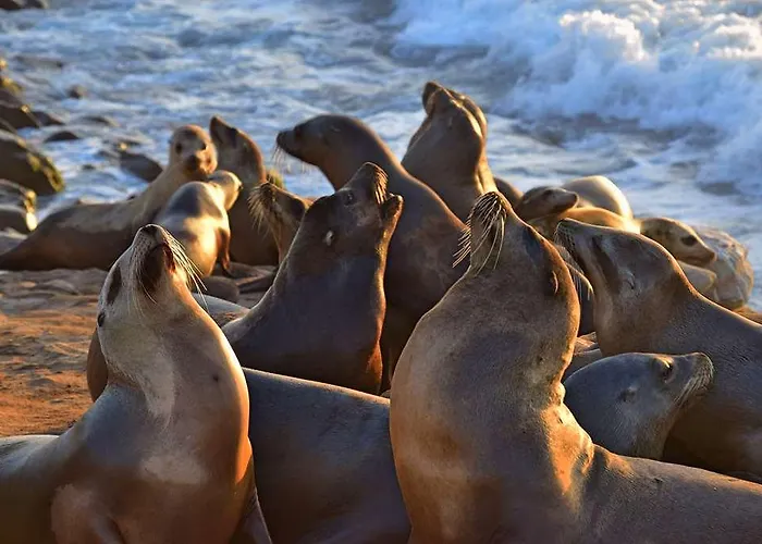 Og Access Iris Hotel Berck