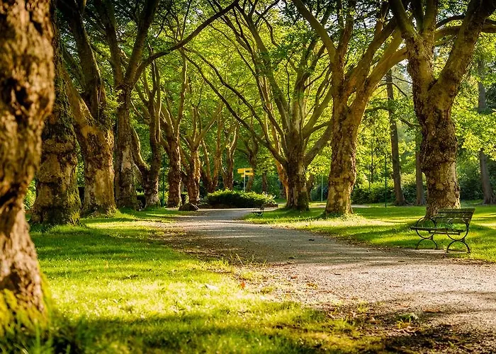 Og Access Iris Berck